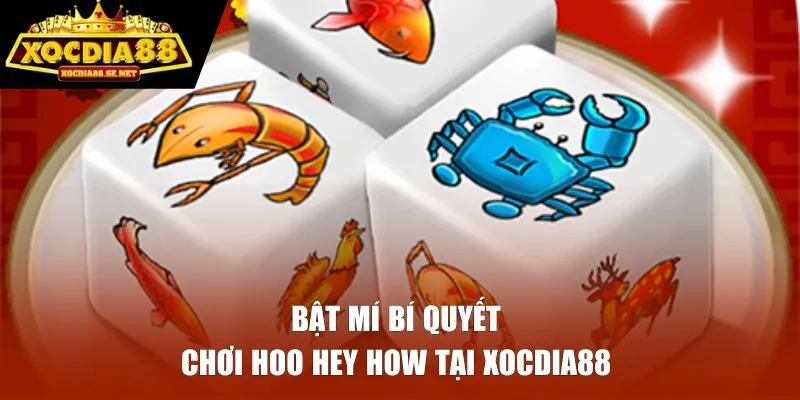 Bật mí bí quyết chơi Hoo Hey How tại XOCDIA88