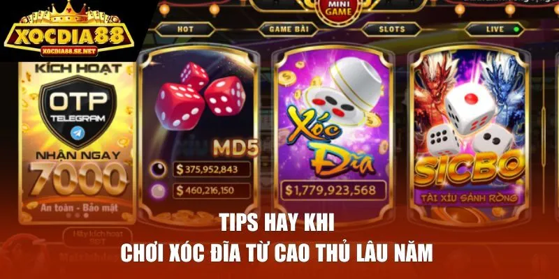 Tips hay khi chơi Xóc Đĩa từ cao thủ lâu năm