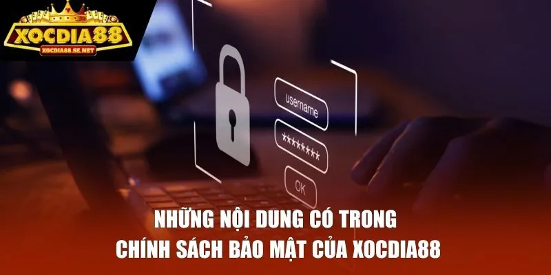Những nội dung có trong chính sách bảo mật của Xocdia88